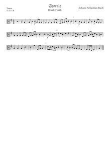 Partition ténor viole de gambe, alto clef, Weihnachtsoratorium, Christmas Oratorio