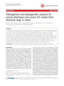 Pathogenesis and phylogenetic analyses of canine distemper virus strain ZJ7 isolate from domestic dogs in China