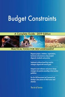 Budget Constraints A Complete Guide - 2019 Edition