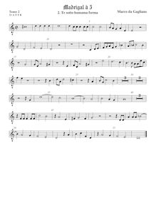 Partition ténor viole de gambe 3, octave aigu clef, Madrigali a cinque voci, Libro 1 par Marco da Gagliano