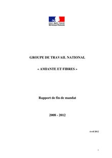 Groupe de travail national Amiante et fibres : rapport de fin de mandat 2008 - 2012