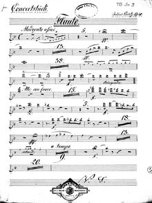 Partition flûte, Concertstück pour vent quintette et orchestre, Concertstück (idyllische Scene) für Flöte, Oboe, Clarinette, Fagott und Horn mit Begleitung des Orchesters oder des Pianoforte, Op.41