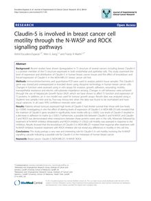 Claudin-5 is involved in breast cancer cell motility through the N-WASP and ROCK signalling pathways