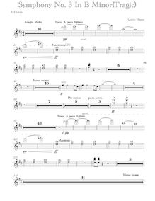 Partition flûte 1/2/3 (3 doubles Piccolo), Symphony No.3,  Tragic 