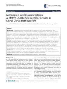 Milnacipran inhibits glutamatergic N-Methyl-D-Aspartate receptor activity in Spinal Dorsal Horn Neurons