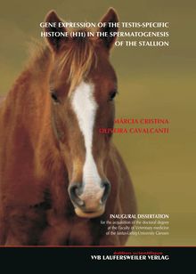 Gene expression of the testis-specific histone (H1t) in the spermatogenesis of the stallion [Elektronische Ressource] / submitted by Márcia Cristina Oliveira Cavalcanti
