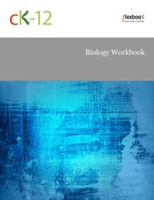 Biology Workbook