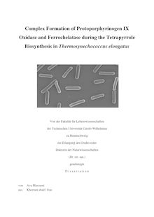 Complex formation of protoporphyrinogen IX oxidase and ferrochelatase during the tetrapyrrole biosynthesis in Thermosynechococcus elongatus [Elektronische Ressource] / von Ava Masoumi