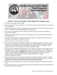 Self audit form 2008-09 audit period