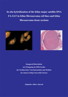 In situ hybridization of the feline major satellite DNA FA-SAT in feline fibrosarcoma cell lines and feline fibrosarcoma tissue sections [Elektronische Ressource] / by Alfaro, Alejandro