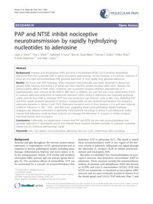 PAP and NT5E inhibit nociceptive neurotransmission by rapidly hydrolyzing nucleotides to adenosine