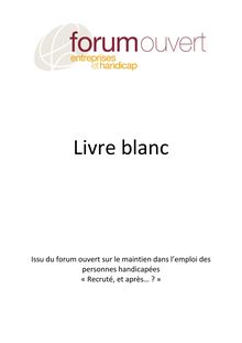 Livre Blanc - Entreprise et handicap 2013
