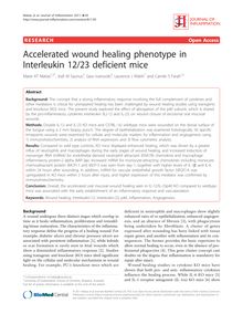 Accelerated wound healing phenotype in Interleukin 12/23 deficient mice