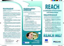 REACH, la nouvelle législation de l'Union européenne sur les substances chimiques