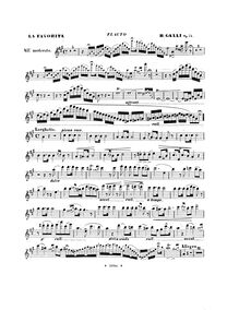 Partition flûte , partie, Capriccio sull opéra La Favorita di Donizetti, Op.74