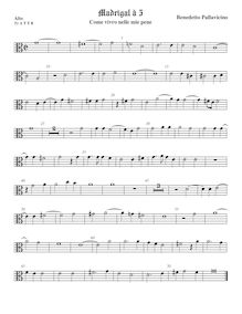 Partition ténor viole de gambe 1, alto clef, madrigaux pour 5 voix par  Benedetto Pallavicino