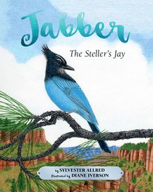 Jabber the Steller s Jay