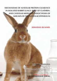 Mechanisms of alveolar protein clearance in isolated rabbit lungs [Elektronische Ressource] : role of clathrin- and caveolae-mediated endocytosis of albumin by the alveolar epithelium / eingereicht von Sebastian Rummel
