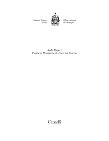 Financial Management - Hearing Process - Audit Report - 2008
