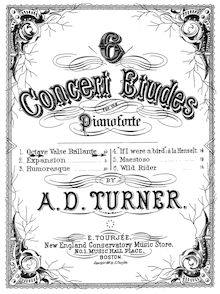 Partition , Octave Valse, 6 Concert Etudes, Turner, Alfred Dudley
