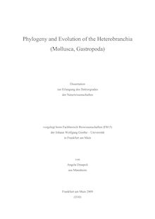 Phylogeny and evolution of the Heterobranchia (Mollusca, Gastropoda) [Elektronische Ressource] / von Angela Dinapoli