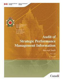 Audit Report -template
