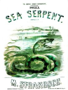Partition complète, Sea Serpent. Polka, Strakosch, Maurice