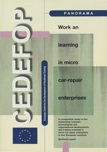 Work and learning in micro car-repair enterprises
