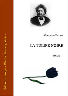 Dumas tulipe noire
