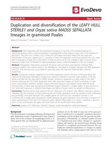 Duplication and diversification of the LEAFY HULL STERILE1 and Oryza sativa MADS5 SEPALLATAlineages in graminoid Poales