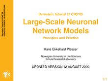 Bernstein Tutorial @ CNS*09  Large-Scale Neuronal Network Models -  Principles and Practice