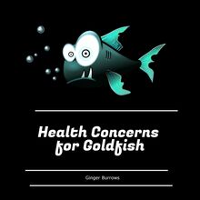Health Concerns for Goldfish
