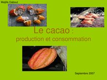 Le cacao : production et consommation