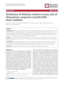 Distribution of Rickettsia rickettsii in ovary cells of Rhipicephalus sanguineus (Latreille1806) (Acari: Ixodidae)