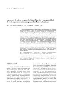 La seca de olivos jóvenes II: identificación y patogenicidad de los hongos asociados con podredumbres radicales