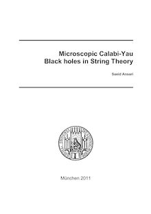 Microscopic Calabi-Yau Black Holes in String Theory [Elektronische Ressource] / Saeid Ansari. Betreuer: Ivo Sachs