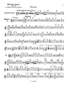 Partition Piccolo, Künstlerleben, Op.316, Artist s Life, Strauss Jr., Johann