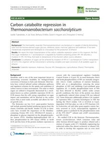 Carbon catabolite repression in Thermoanaerobacterium saccharolyticum