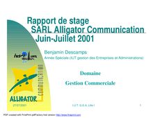 Rapport de stage SARL Alligator Communication  Juin-Juillet 2001