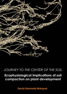 Journey to the center of the soil: Ecophysiological implications of soil compaction on plant development