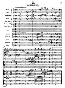 Partition , Scherzino: Vivacissimo e leggiero, Sinfonietta, D major