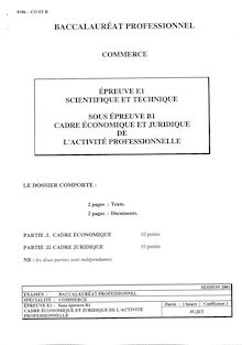 Bacpro commerce cadre economique et juridique de l activite professionnelle 2001