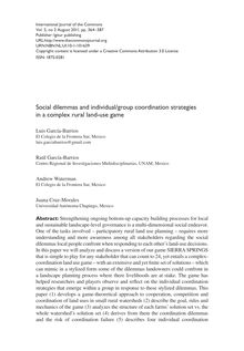 Social dilemmas and individual/group coordination strategies in a complex rural land-use game