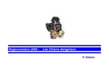 Réglementation 2009 : Les chiens  dangereux