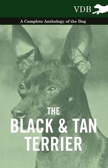 The Black and Tan Terrier - A Complete Anthology of the Dog -