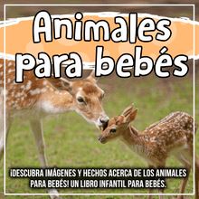 Animales para bebés: ¡Descubra imágenes y hechos acerca de los animales para bebés! Un libro infantil para bebés.