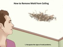 How to Remove Mold from Ceiling