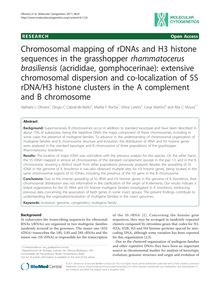 Chromosomal mapping of rDNAs and H3 histone sequences in the grasshopper rhammatocerus brasiliensis(acrididae, gomphocerinae): extensive chromosomal dispersion and co-localization of 5S rDNA/H3 histone clusters in the A complement and B chromosome