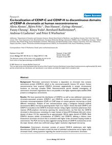 Co-localization of CENP-C and CENP-H to discontinuous domains of CENP-A chromatin at human neocentromeres