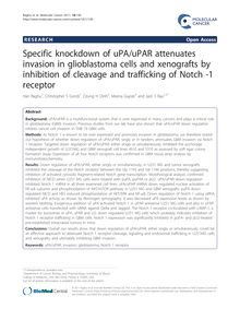 Specific knockdown of uPA/uPAR attenuates invasion in glioblastoma cells and xenografts by inhibition of cleavage and trafficking of Notch -1 receptor